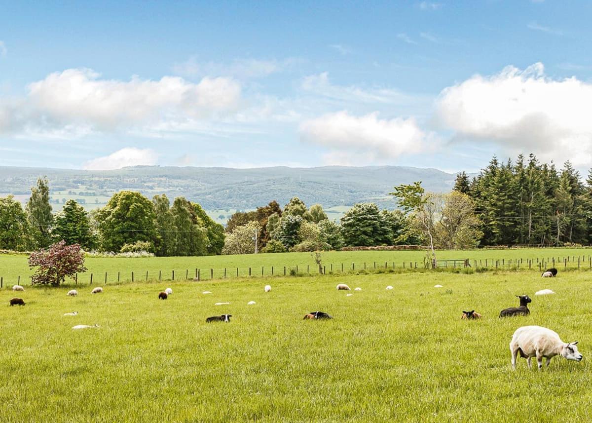 Kessock Highland Lodges North Kessock Bagian luar foto